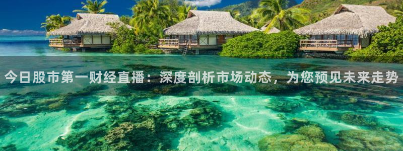 nba在线观看免费观看黑白直播：今日股市第一财经直播：深度剖析市场动态，为您预见未来走势