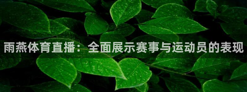 黑白足球直播官网：雨燕体育直播：全面展示赛事与运动员的表现